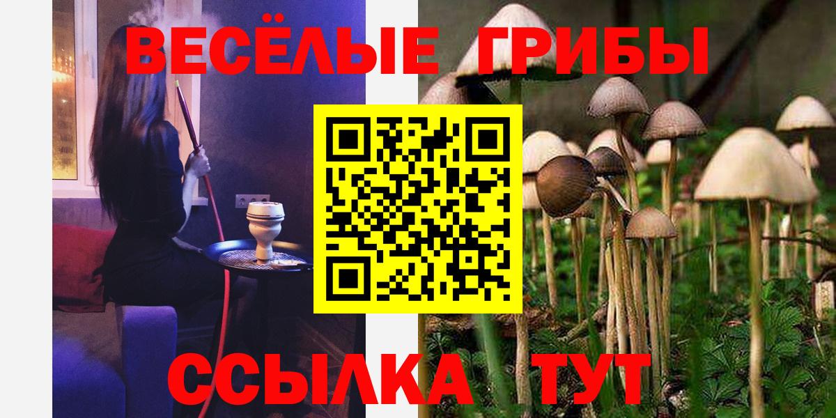 Псилоцибиновые грибы Cubensis Артём