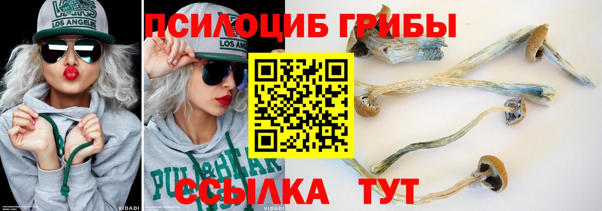 Галлюциногенные грибы MAGIC MUSHROOMS  Вход с VPN  Артём  Галлюциногенные грибы GOLDEN TEACHER 